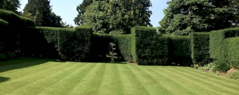 Garden lawn aftercare