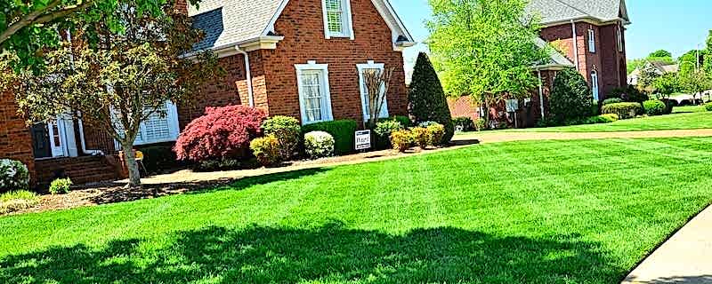 Lawn preparation