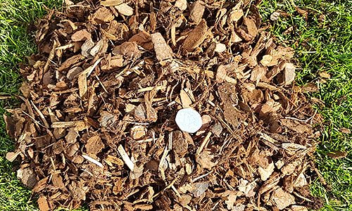 Low cost bark supplies