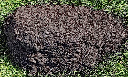 Compost soil delivered