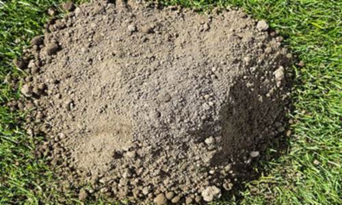 Topsoil supply and delivery